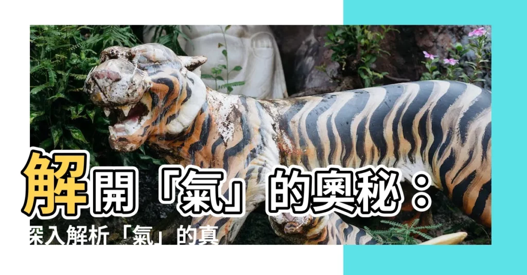 【氣意思】解開「氣」的奧秘：深入解析「氣」的真正涵義