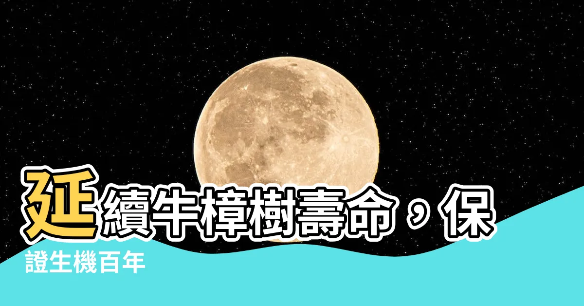 【牛樟樹壽命】延續牛樟樹壽命，保證生機百年