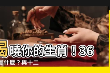 【36 歲生肖】揭曉你的生肖！36 歲屬什麼？與十二生肖婚配最佳伴侶