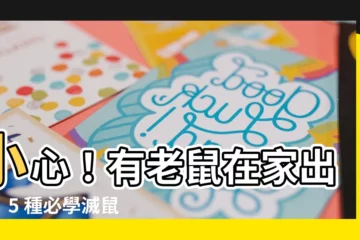 【有老鼠】小心！有老鼠在家出沒！5 種必學滅鼠秘技一次掌握
