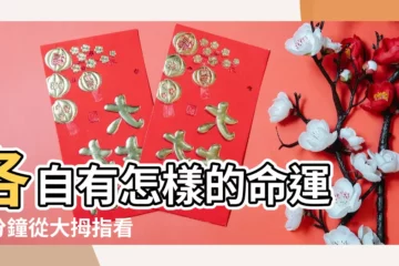 【指節第一道兩紋】各自有怎樣的命運 |1分鐘從大拇指看出一生富貴和平庸 |大拇指第一節紋有一條 |