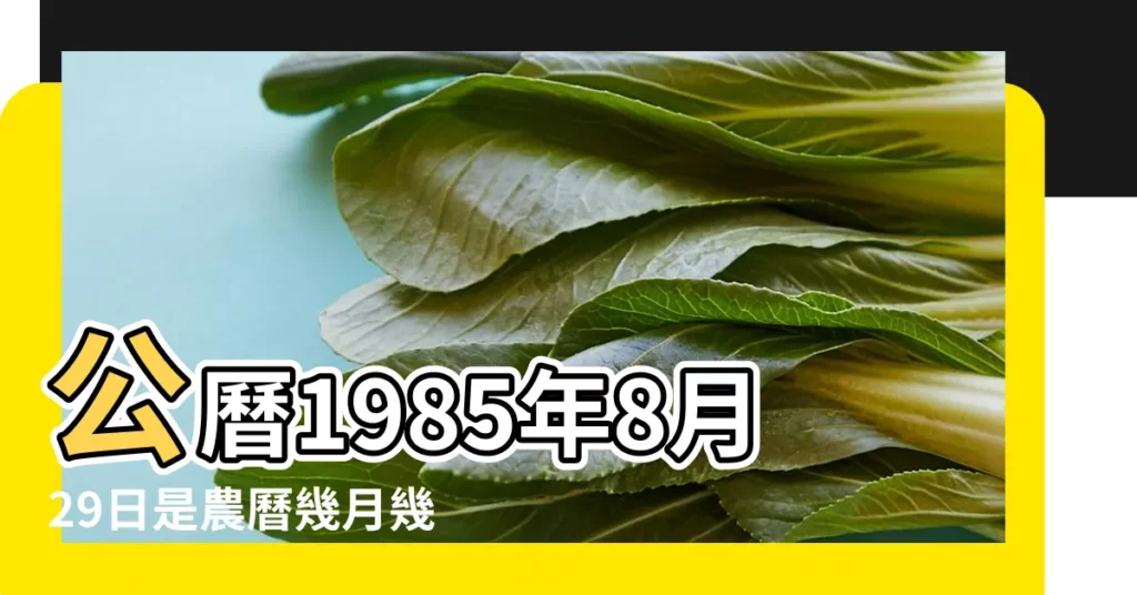 公曆1985年8月29日是農曆幾月幾號 |國曆1985年8月29日是農曆幾月幾日 |1985年8月29日出生時間看命運 |【1985年8月29日農曆是多少】