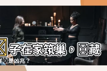 【鴿子在家築巢風水】鴿子在家築巢，藴藏吉祥還是凶兆？