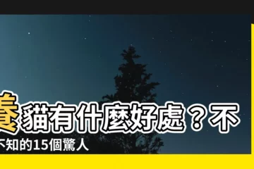 【養貓 好處】養貓有什麼好處？不可不知的15個驚人優點！