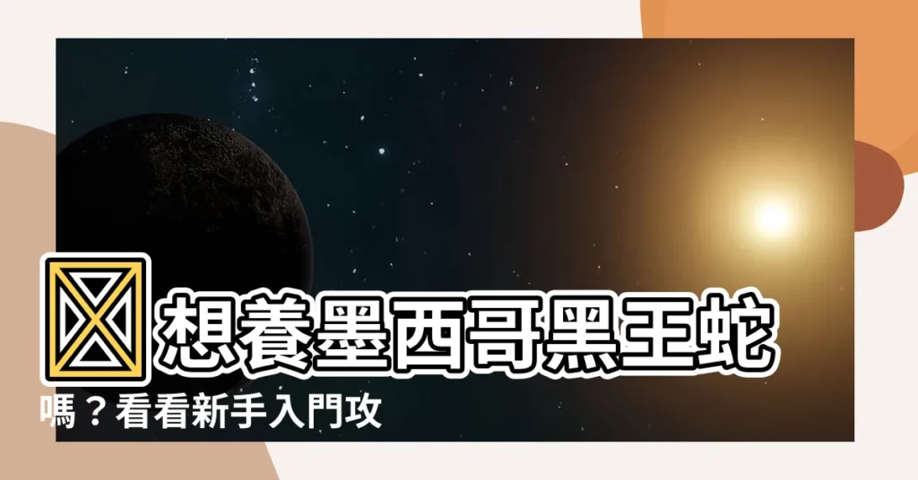 【墨西哥黑王蛇好養嗎】🔥想養墨西哥黑王蛇嗎？看看新手入門攻略🔥
