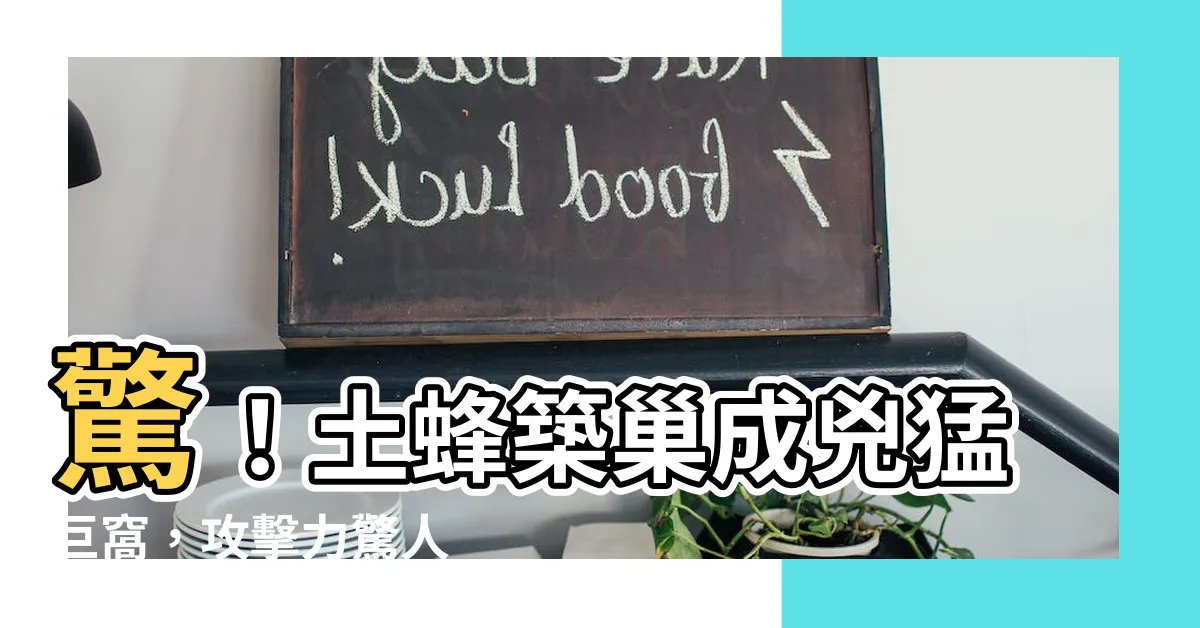 【土蜂築巢】驚！土蜂築巢成兇猛巨窩，攻擊力驚人
