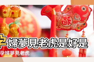 【孕婦夢見別人送自己老虎】孕婦夢見老虎是好是壞 |孕婦夢見老虎是什麼意思意思孕婦夢見老虎獅子什麼意思 |周公解夢 |