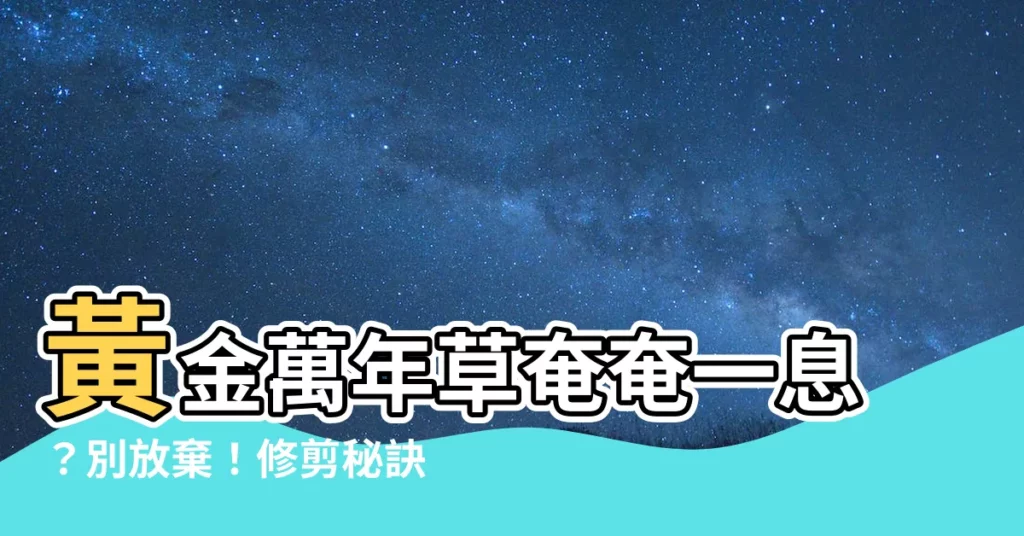 【黃金萬年草枯萎】黃金萬年草奄奄一息？別放棄！修剪秘訣讓你起死回生