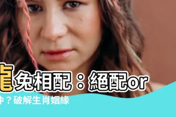 【龍與兔】龍兔相配：絕配or六沖？破解生肖姻緣謎團