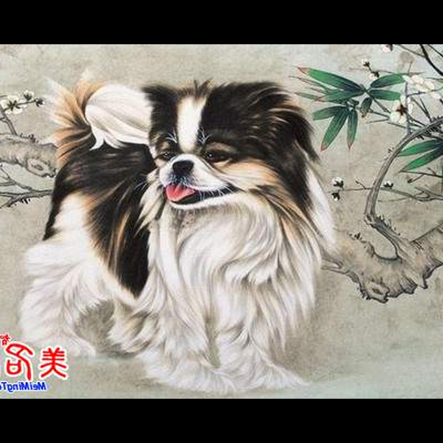 4、狗寶寶的名字不適合用木和水兩個字,但喜歡用神和水如何解決?