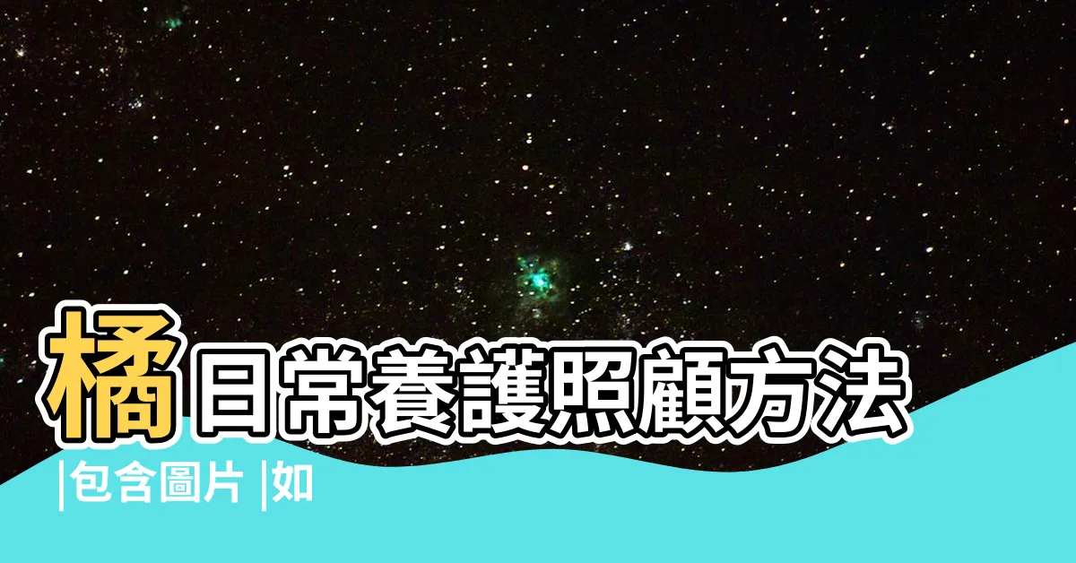 【桔子樹種植】橘日常養護照顧方法 |包含圖片 |如何種植橘子樹 |