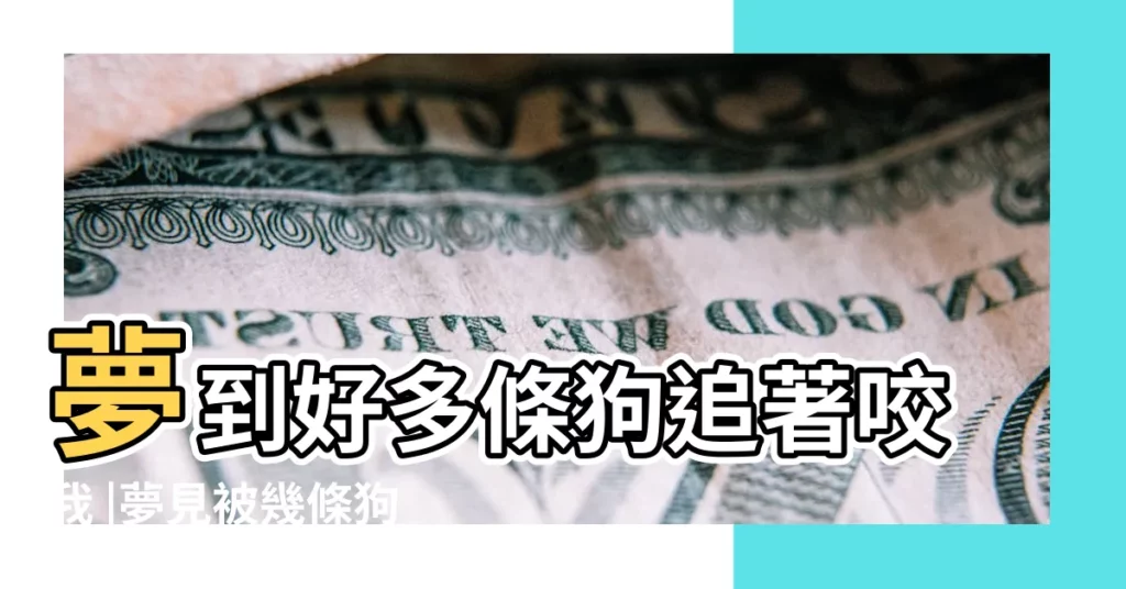 夢到好多條狗追著咬我 |夢見被幾條狗追著咬 |夢見被惡狗追咬 |【我昨晚夢見被二條惡狗追周公解夢】