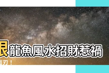 【銀龍魚】銀龍魚風水招財惹禍兩面刃！