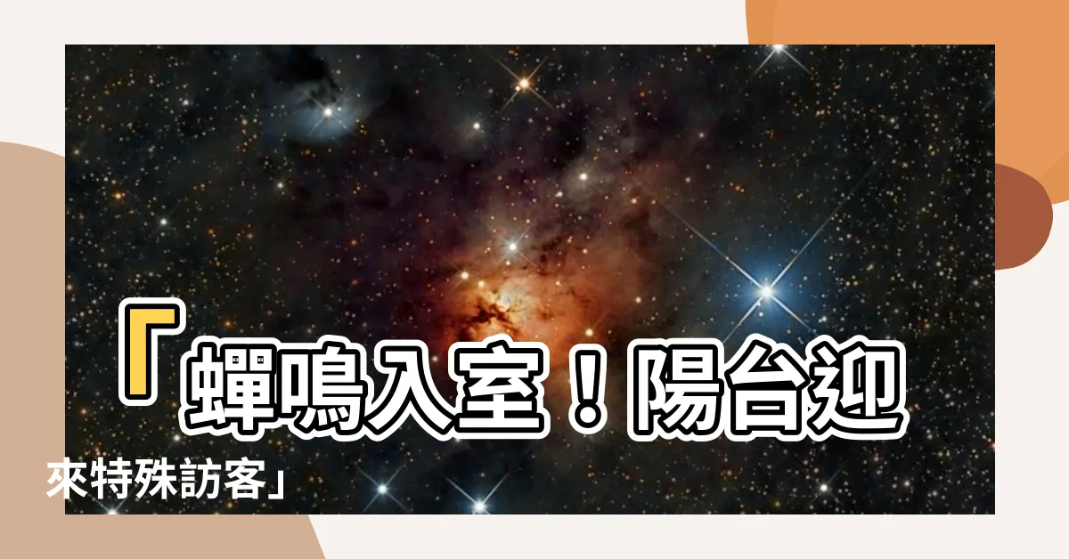 【蟬 陽台】「蟬鳴入室！陽台迎來特殊訪客」
