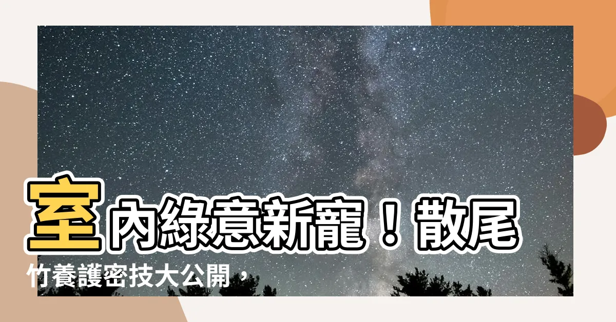 【散尾竹】室內綠意新寵！散尾竹養護密技大公開，嫩葉呼呼長