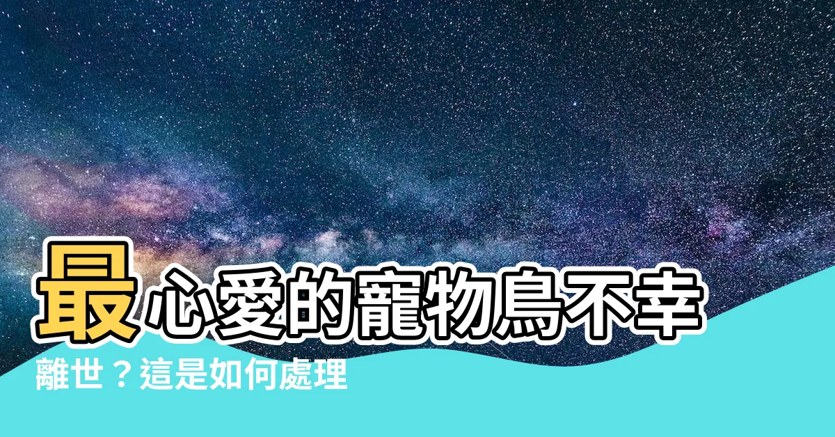 【寵物鳥死掉】最心愛的寵物鳥不幸離世？這是如何處理的關鍵
