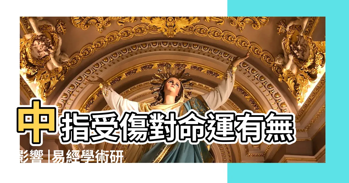 【中指受傷】中指受傷對命運有無影響 |易經學術研究羽淨慧老師 |是指從手相角度看 |