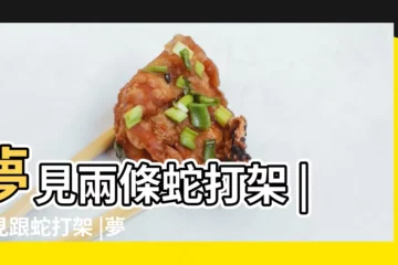 【夢到蛇頭打架】夢見兩條蛇打架 |夢見跟蛇打架 |夢見蛇打架 |