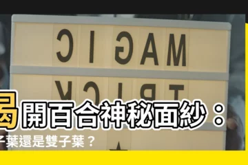 【百合是單子葉還是雙子葉】揭開百合神秘面紗：單子葉還是雙子葉？