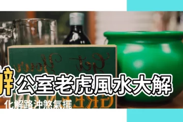 【辦公室老虎風水】辦公室老虎風水大解密！化解路沖煞氣擺法公開