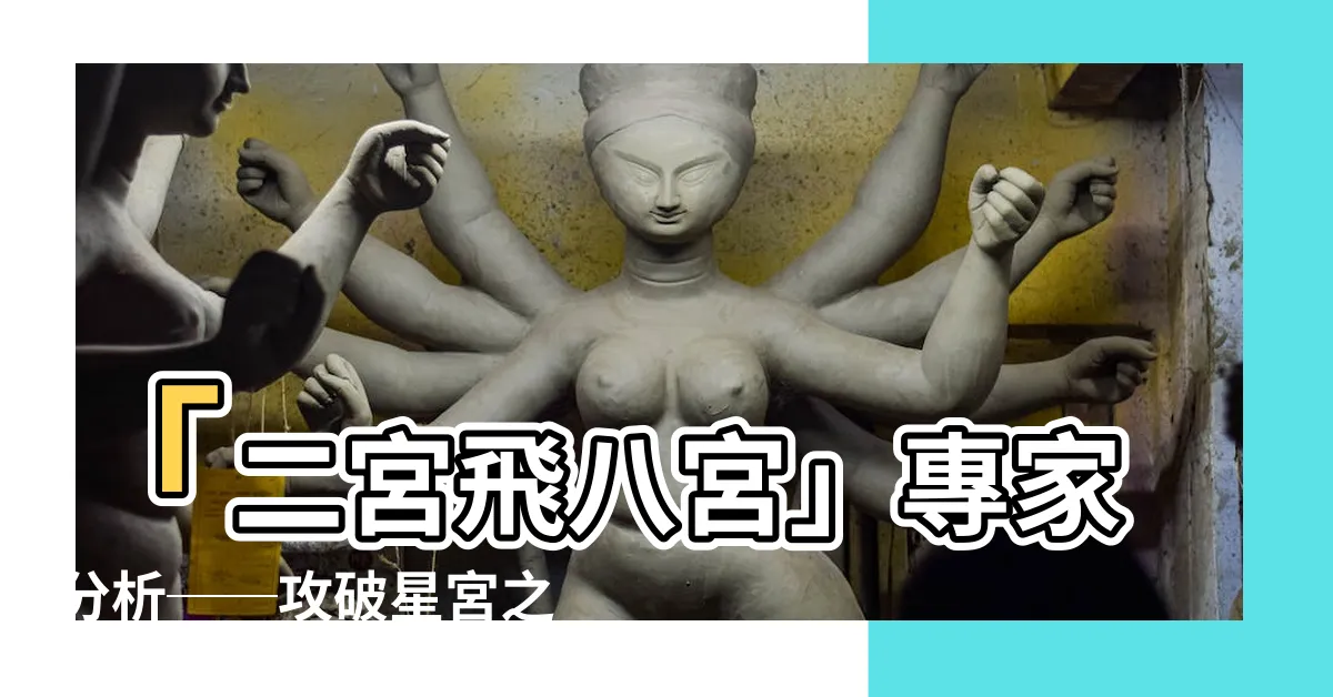 【二宮飛八宮】「二宮飛八宮」專家分析──攻破星宮之道