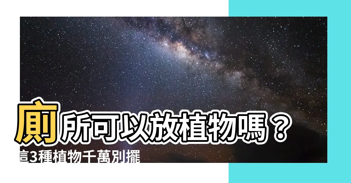 【廁所可以放植物嗎】廁所可以放植物嗎？這3種植物千萬別擺，小心官司纏身！