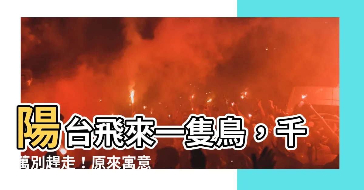 【陽台飛來一隻鳥】陽台飛來一隻鳥，千萬別趕走！原來寓意著這些「天上」的好運