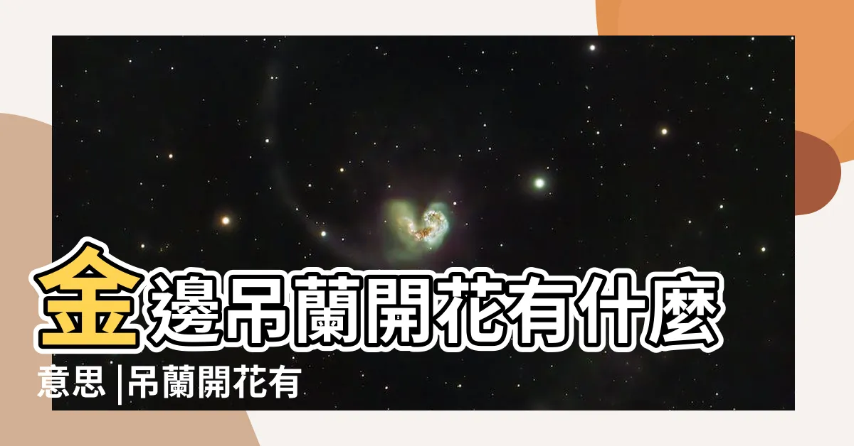 【吊蘭開花】金邊吊蘭開花有什麼意思 |吊蘭開花有什麼兆頭 |如何養護吊蘭才能開花 |