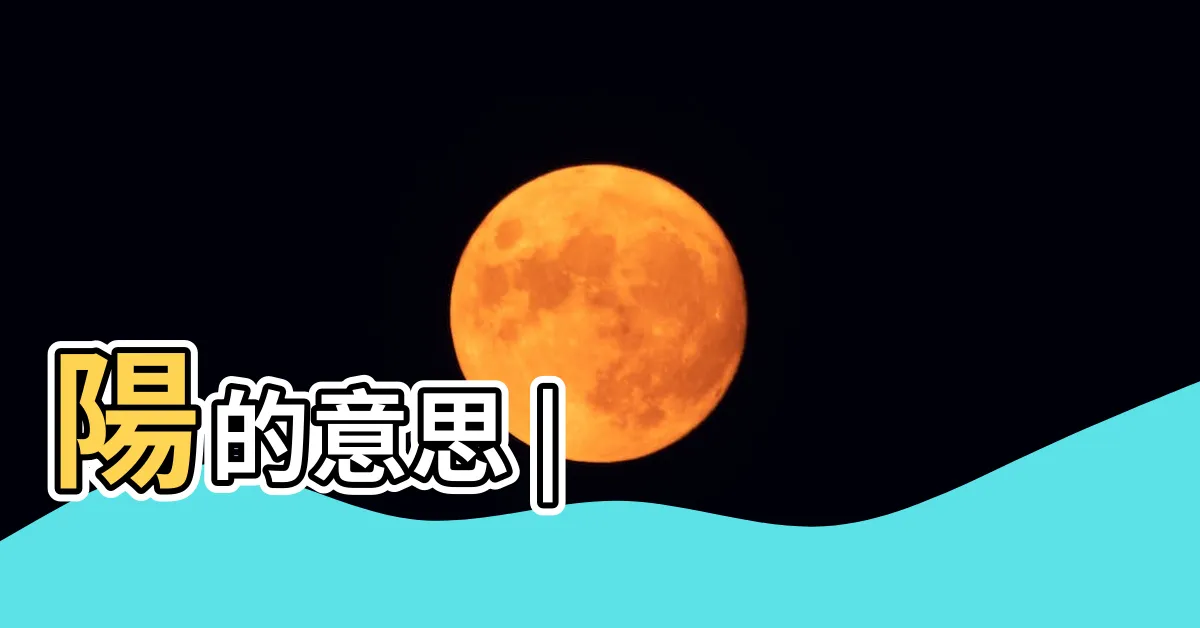 【陽意思】陽的意思 |