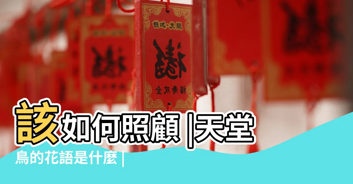 【天堂鳥風水】該如何照顧 |天堂鳥的花語是什麼 |風水擺放建議 |