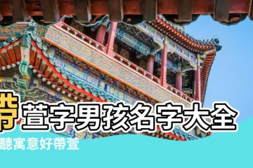 【名字帶萱男孩名字大全】帶萱字男孩名字大全 |好聽寓意好帶萱字的男孩洋氣的名字大全 |男孩起名含萱字 |