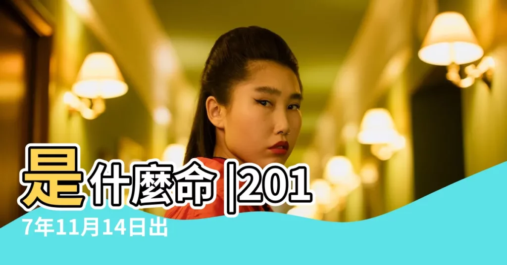 是什麼命 |2017年11月14日出生的人生辰八字測算 |農曆2017年11月14日生日算命 |【2017 11 14什麼命】