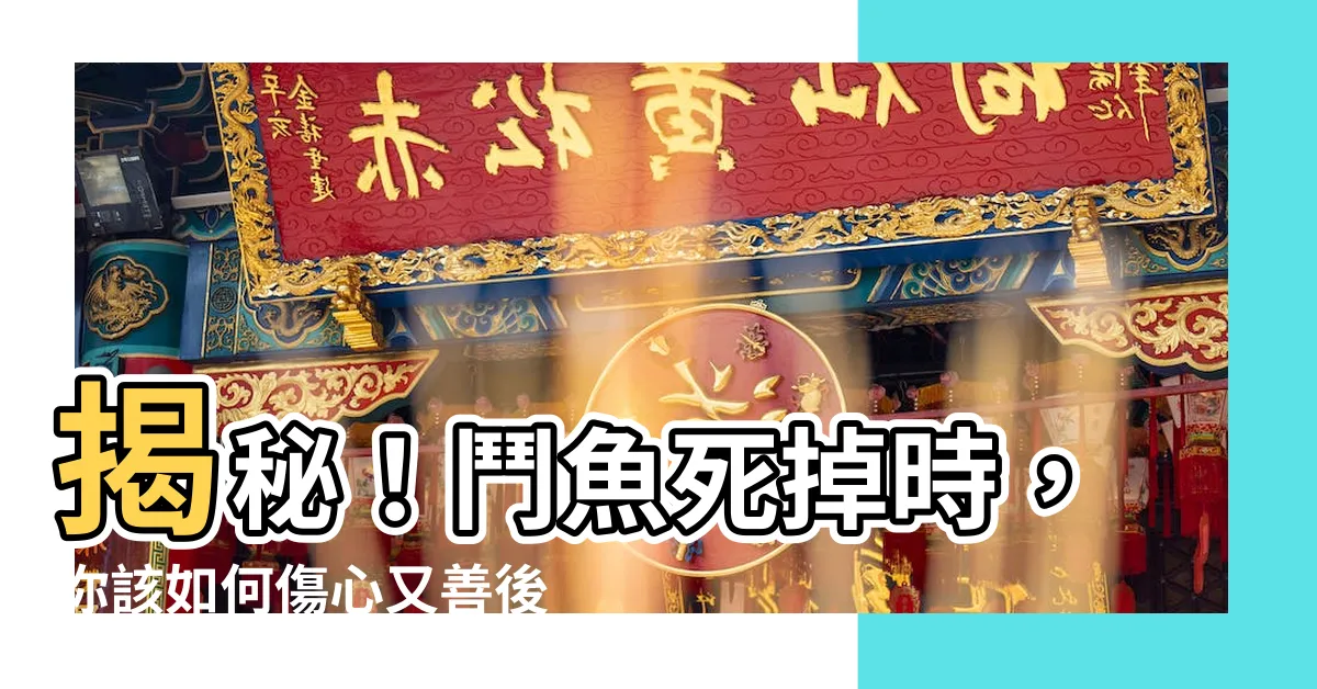 【鬥魚死掉怎麼處理】揭秘！鬥魚死掉時，你該如何傷心又善後？