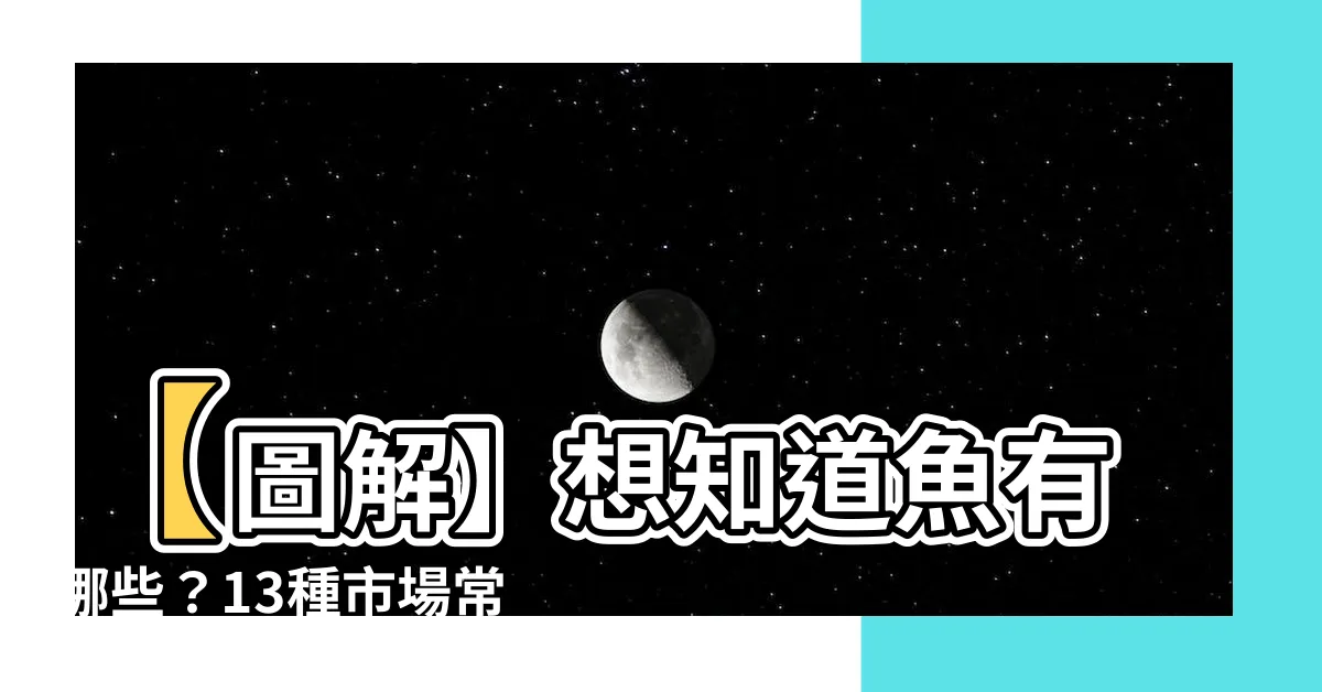【魚有哪些】【圖解】想知道魚有哪些？13種市場常見鮮魚一次認識