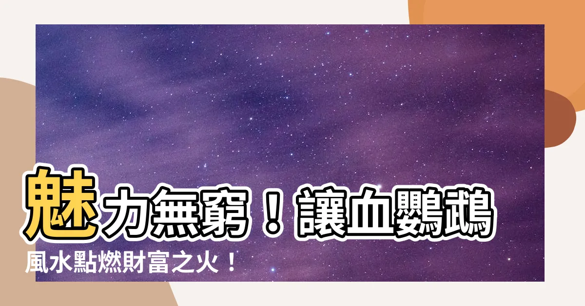 【血鸚鵡風水】魅力無窮！讓血鸚鵡風水點燃財富之火！