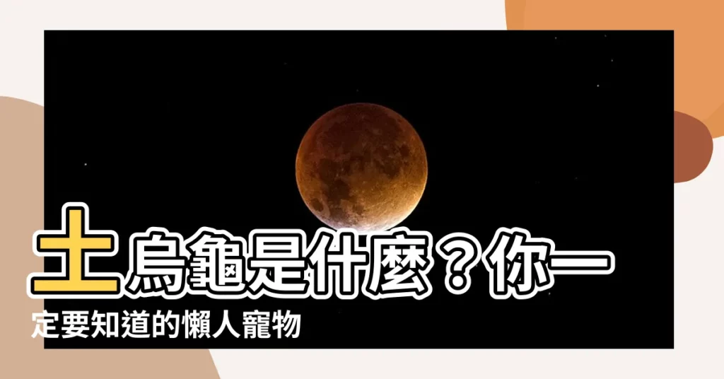 【土烏龜是】土烏龜是什麼?你一定要知道的懶人寵物