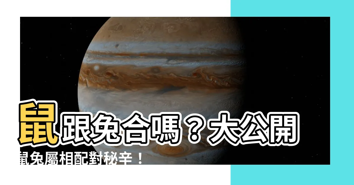 【鼠跟兔合嗎】鼠跟兔合嗎？大公開鼠兔屬相配對秘辛！
