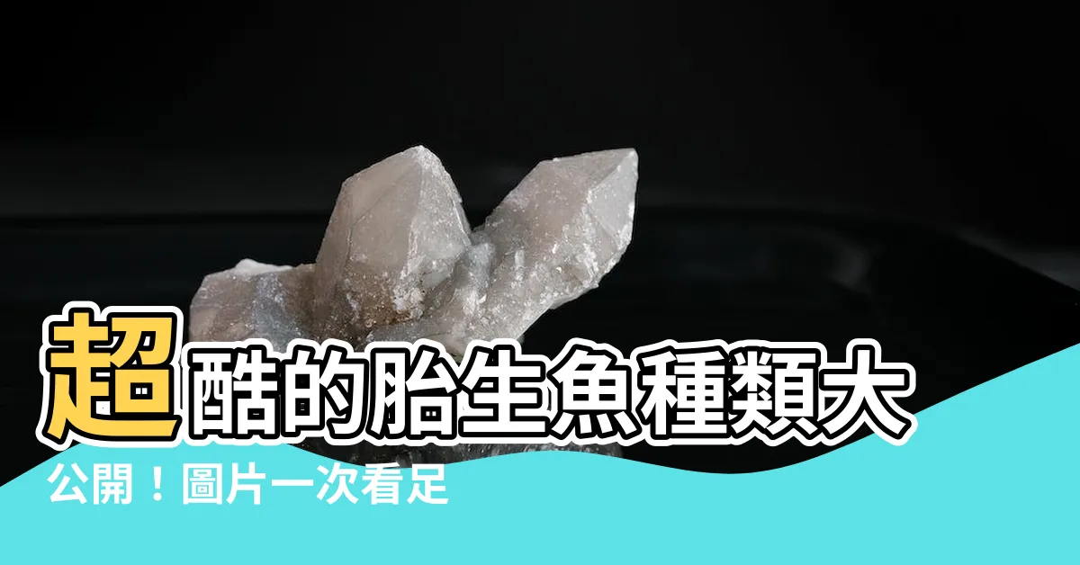 【胎生魚種類】超酷的胎生魚種類大公開！圖片一次看足