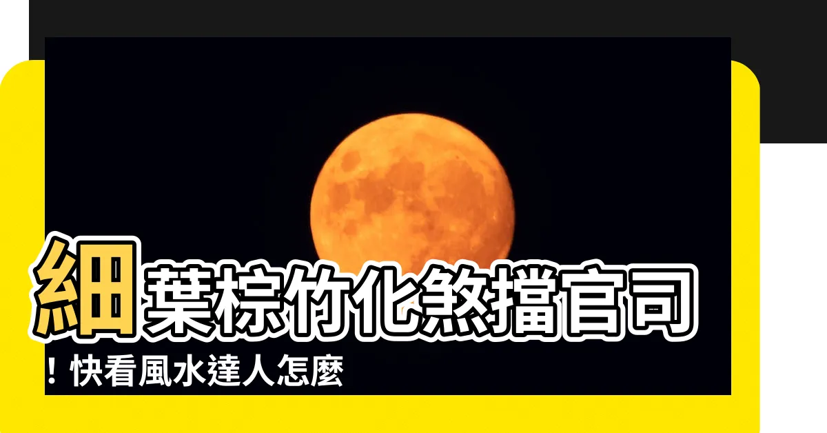 【細葉棕竹風水】細葉棕竹化煞擋官司！快看風水達人怎麼説！