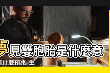 【做夢夢到一對雙胞胎】夢見雙胞胎是什麼意思有什麼預兆 |生雙胞胎 |夢見雙胞胎 |