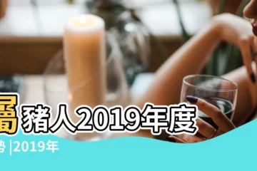 【2019年生肖豬運氣】屬豬人2019年度運勢 |2019年十二生肖運勢系列 |麥玲玲2019豬年生肖運程 |