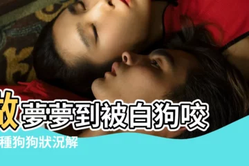 【做夢被白狗咬對家人】做夢夢到被白狗咬 |17種狗狗狀況解夢 |夢到一起散步竟然是凶兆 |