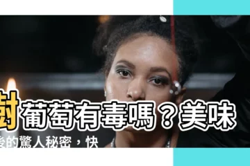 【樹葡萄有毒】樹葡萄有毒嗎？美味背後的驚人秘密，快來揭曉！