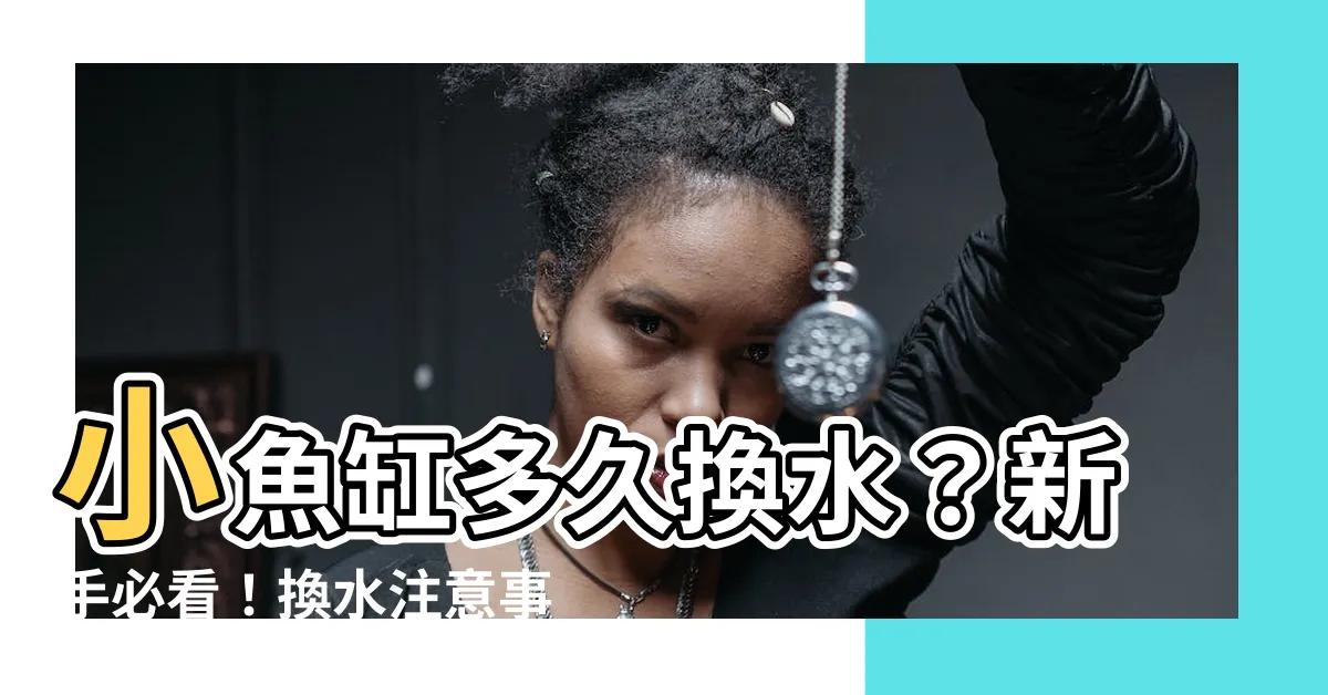 【小魚缸多久換水】小魚缸多久換水？新手必看！換水注意事項大公開