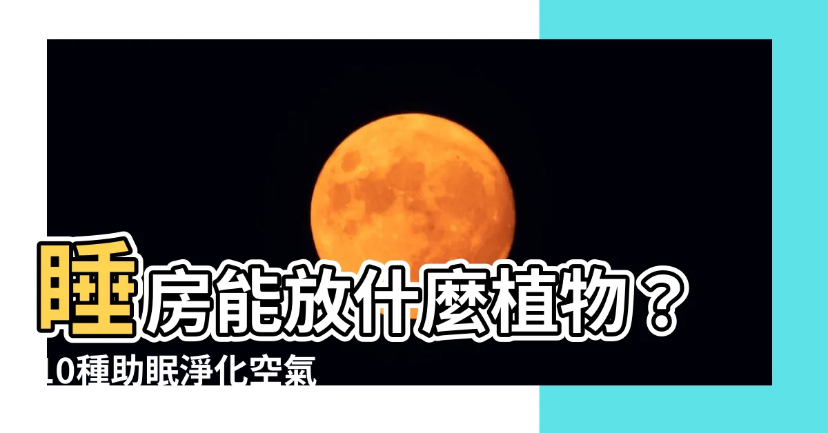 【睡房可以放植物嗎】睡房能放什麼植物？10種助眠淨化空氣還能招財的植物推薦！