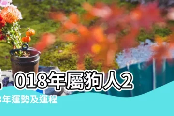【2018年6月9號下午的狗的運勢】2018年屬狗人2023年運勢及運程 |18年5歲生肖 |2018年屬狗的幾月出生最好 |