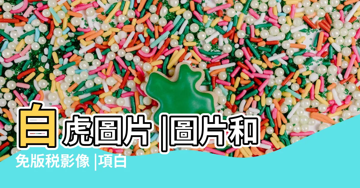 【白虎照】白虎圖片 |圖片和免版税影像 |項白虎照片檔 |