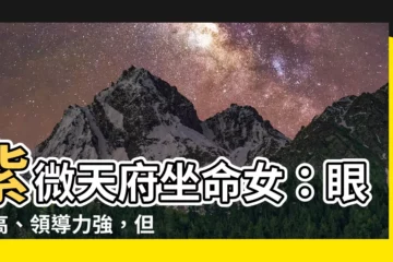 【紫微天府坐命女】紫微天府坐命女：眼光高、領導力強，但過旺恐不佳