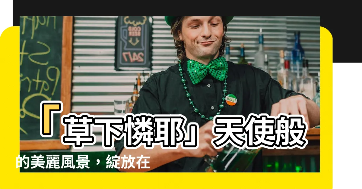 【草下憐耶】「草下憐耶」天使般的美麗風景，綻放在眼前！