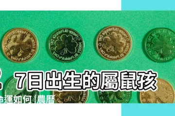 【屬鼠子時27日出生的人】27日出生的屬鼠孩子命運如何 |農曆二十三日出生的屬鼠人命運 |樂於助人的人 |